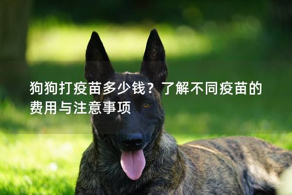 狗狗打疫苗多少錢？了解不同疫苗的費用與注意事項