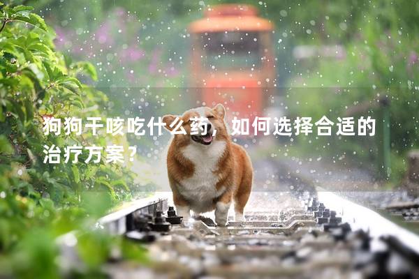 狗狗干咳吃什么藥，如何選擇合適的治療方案？