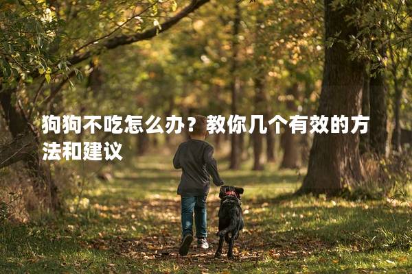狗狗不吃怎么辦?教你幾個有效的方法和建議 狗狗不吃怎么辦?教你幾個有效的方法和建議