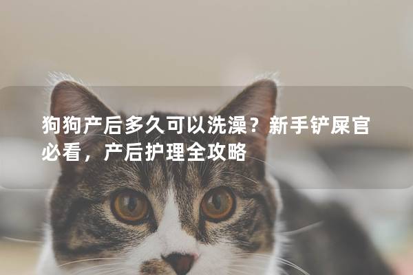 狗狗產(chǎn)后多久可以洗澡?新手鏟屎官必看,產(chǎn)后護理全攻略