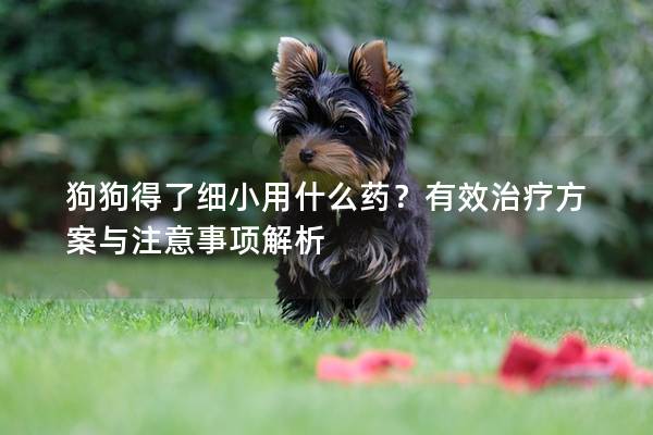 狗狗得了細小用什么藥？有效治療方案與注意事項解析