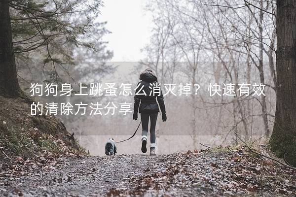 狗狗身上跳蚤怎么消滅掉？快速有效的清除方法分享