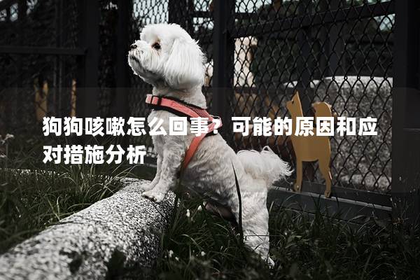 狗狗咳嗽怎么回事？可能的原因和應對措施分析