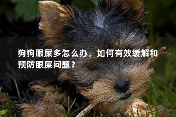 狗狗眼屎多怎么辦，如何有效緩解和預防眼屎問題？