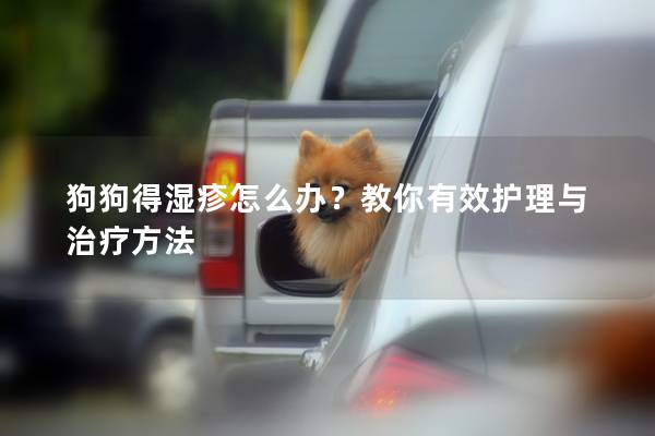 狗狗得濕疹怎么辦？教你有效護理與治療方法
