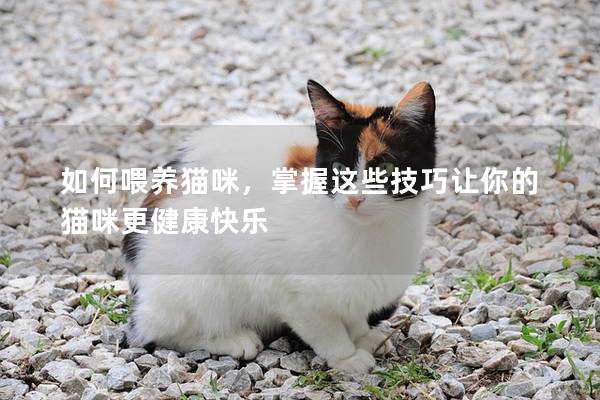 如何喂養貓咪，掌握這些技巧讓你的貓咪更健康快樂