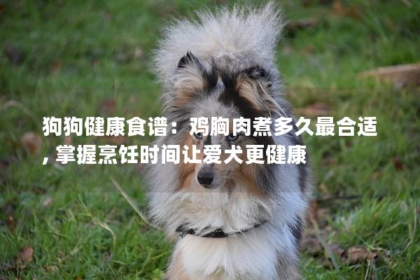 狗狗健康食譜：雞胸肉煮多久最合適, 掌握烹飪時間讓愛犬更健康