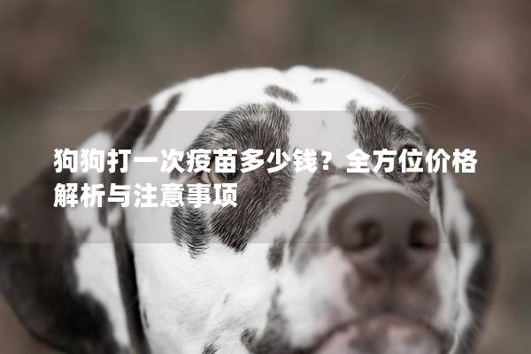 狗狗打一次疫苗多少錢？全方位價格解析與注意事項