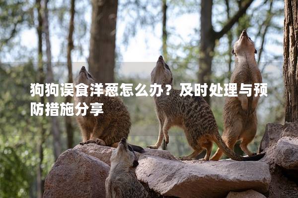 狗狗誤食洋蔥怎么辦？及時(shí)處理與預(yù)防措施分享