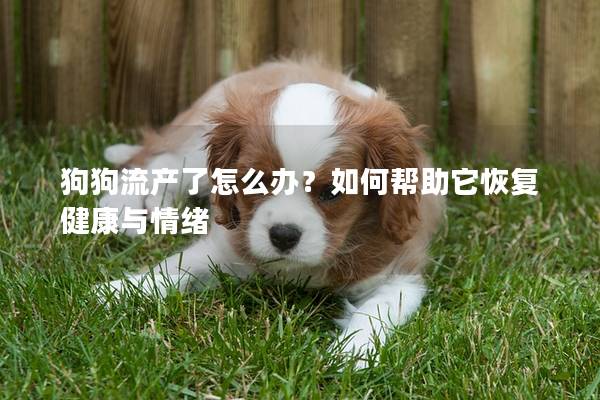 狗狗流產(chǎn)了怎么辦？如何幫助它恢復(fù)健康與情緒