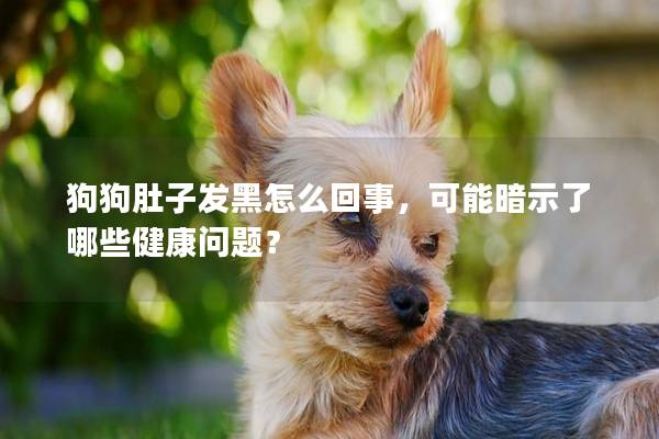 狗狗肚子發(fā)黑怎么回事，可能暗示了哪些健康問題？