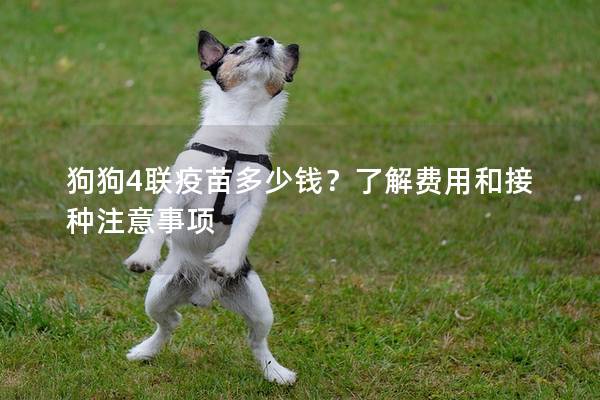 狗狗4聯(lián)疫苗多少錢(qián)？了解費(fèi)用和接種注意事項(xiàng)