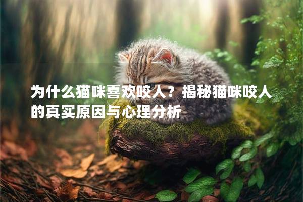 為什么貓咪喜歡咬人？揭秘貓咪咬人的真實(shí)原因與心理分析