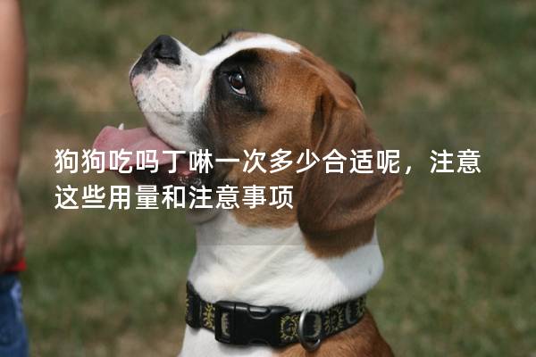狗狗吃嗎丁啉一次多少合適呢,注意這些用量和注意事項 狗狗吃嗎丁啉一次多少合適呢,注意這些用量和注意事項