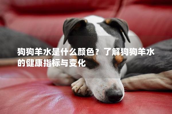 狗狗羊水是什么顏色？了解狗狗羊水的健康指標與變化