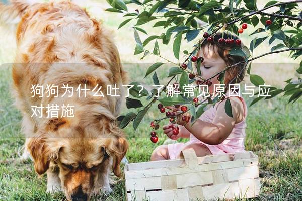 狗狗為什么吐了？了解常見原因與應對措施