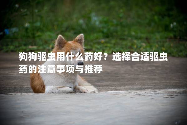 狗狗驅蟲用什么藥好？選擇合適驅蟲藥的注意事項與推薦