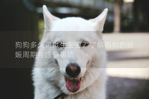 狗狗多久可以生寶寶？了解狗狗的妊娠周期與注意事項(xiàng)