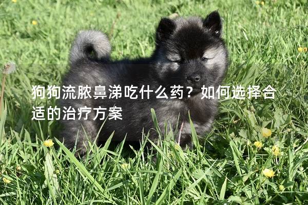 狗狗流膿鼻涕吃什么藥？如何選擇合適的治療方案