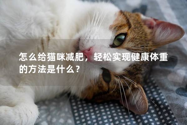 怎么給貓咪減肥，輕松實現健康體重的方法是什么？