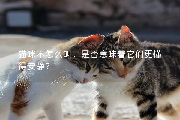 貓咪不怎么叫，是否意味著它們更懂得安靜？