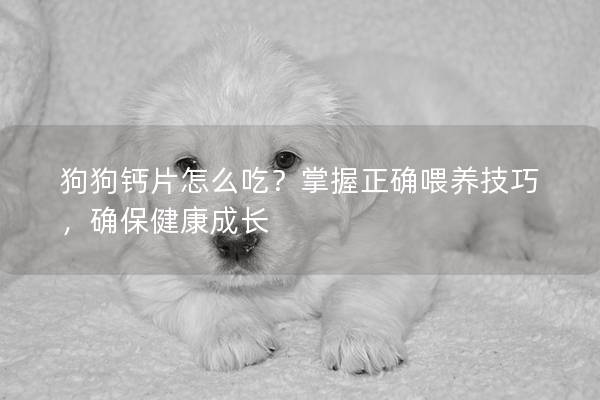 狗狗鈣片怎么吃？掌握正確喂養技巧，確保健康成長