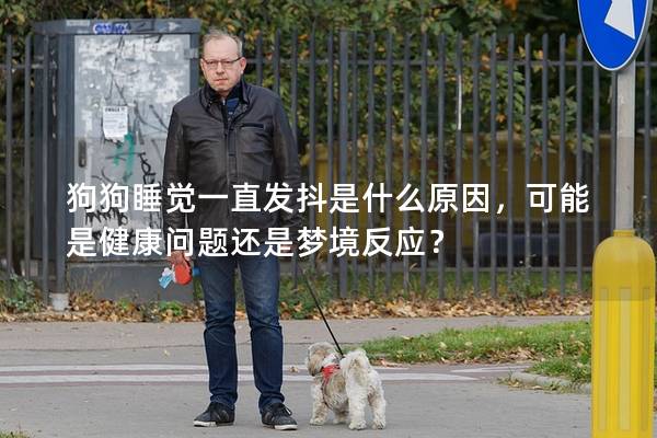 狗狗睡覺一直發(fā)抖是什么原因，可能是健康問題還是夢境反應(yīng)？