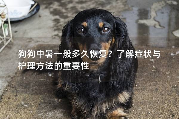 狗狗中暑一般多久恢復？了解癥狀與護理方法的重要性