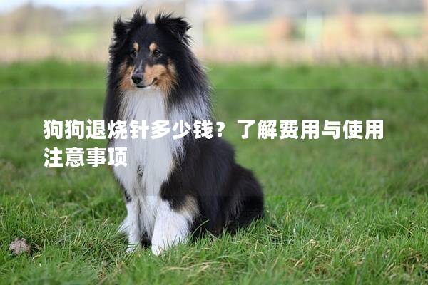 狗狗退燒針多少錢？了解費用與使用注意事項