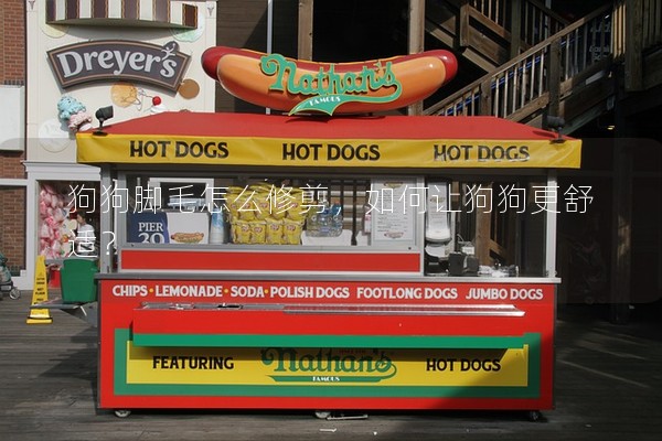 狗狗腳毛怎么修剪,如何讓狗狗更舒適? 狗狗腳毛怎么修剪,如何讓狗狗更舒適?