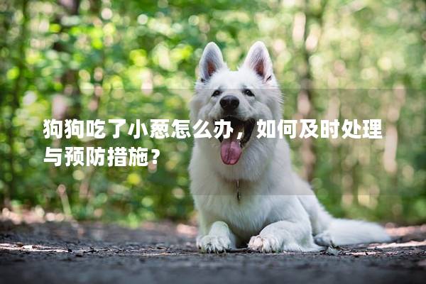 狗狗吃了小蔥怎么辦，如何及時處理與預防措施？