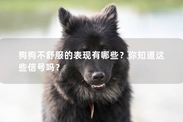 狗狗不舒服的表現有哪些？你知道這些信號嗎？