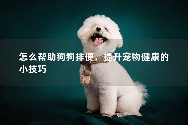 怎么幫助狗狗排便，提升寵物健康的小技巧