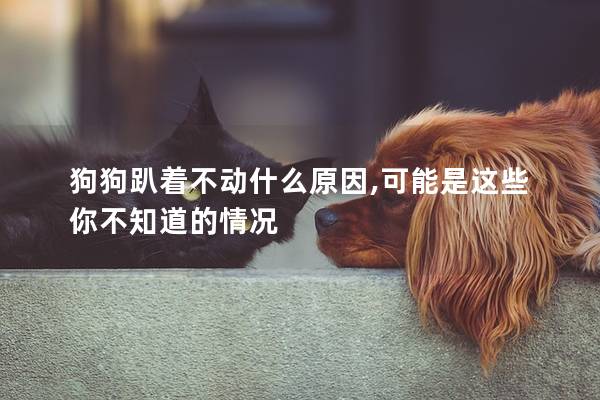 狗狗趴著不動什么原因,可能是這些你不知道的情況