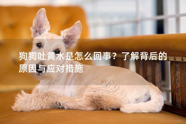 狗狗吐黃水是怎么回事？了解背后的原因與應對措施