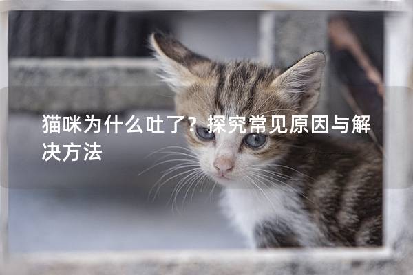 貓咪為什么吐了？探究常見(jiàn)原因與解決方法