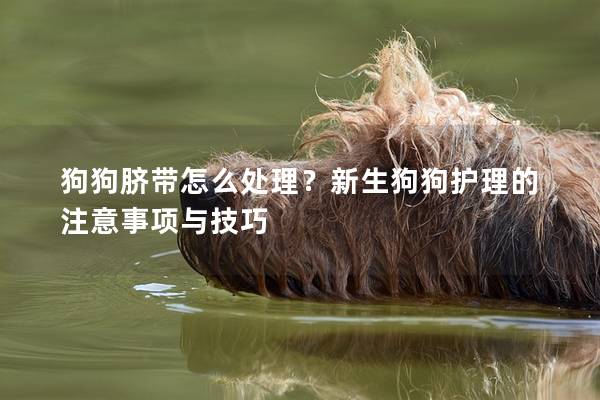 狗狗臍帶怎么處理？新生狗狗護理的注意事項與技巧