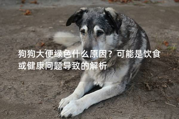狗狗大便綠色什么原因？可能是飲食或健康問題導致的解析