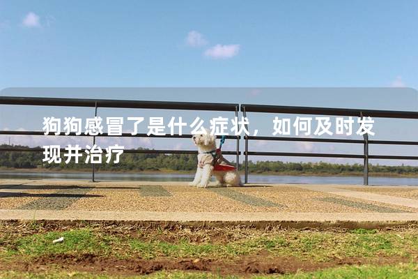 狗狗感冒了是什么癥狀,如何及時(shí)發(fā)現(xiàn)并治療 狗狗感冒了是什么癥狀,如何及時(shí)發(fā)現(xiàn)并治療