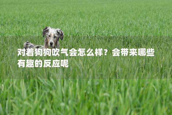 對著狗狗吹氣會怎么樣？會帶來哪些有趣的反應呢