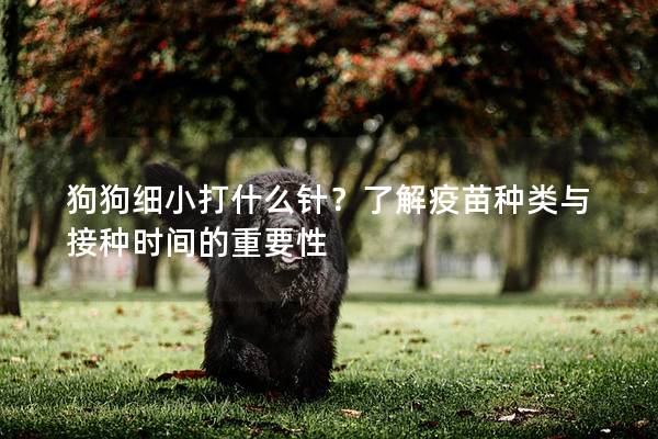 狗狗細小打什么針？了解疫苗種類與接種時間的重要性