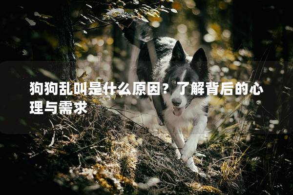 狗狗亂叫是什么原因？了解背后的心理與需求