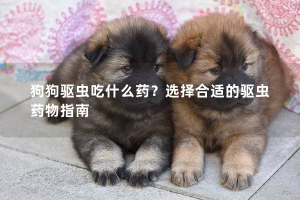 狗狗驅(qū)蟲吃什么藥？選擇合適的驅(qū)蟲藥物指南