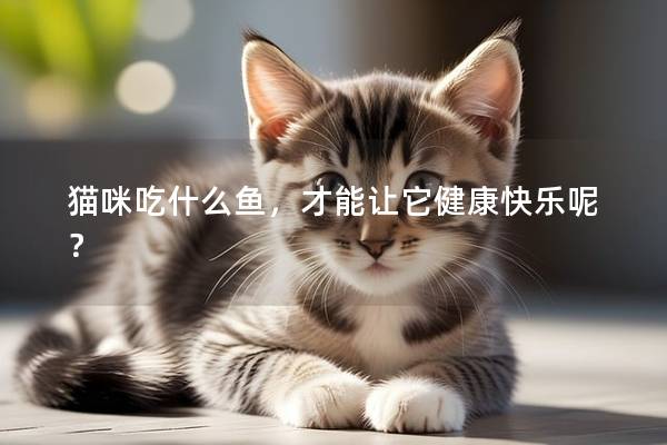 貓咪吃什么魚，才能讓它健康快樂呢？