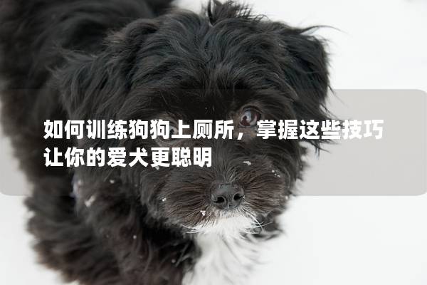 如何訓(xùn)練狗狗上廁所，掌握這些技巧讓你的愛犬更聰明