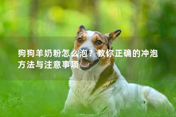 狗狗羊奶粉怎么泡？教你正確的沖泡方法與注意事項
