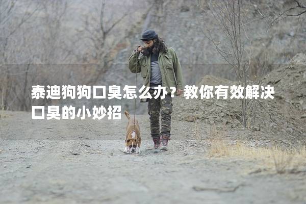 泰迪狗狗口臭怎么辦？教你有效解決口臭的小妙招