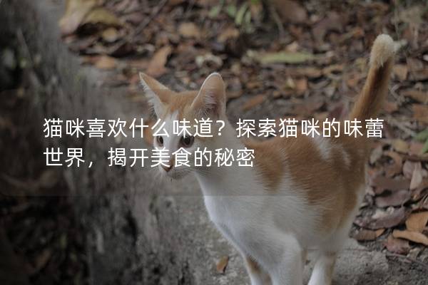 貓咪喜歡什么味道？探索貓咪的味蕾世界，揭開美食的秘密