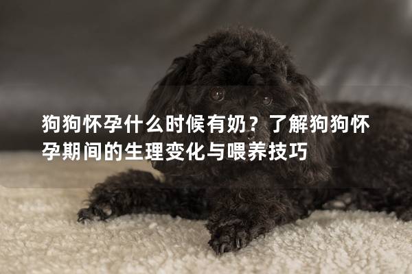 狗狗懷孕什么時(shí)候有奶？了解狗狗懷孕期間的生理變化與喂養(yǎng)技巧