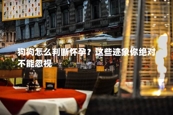 狗狗怎么判斷懷孕？這些跡象你絕對不能忽視